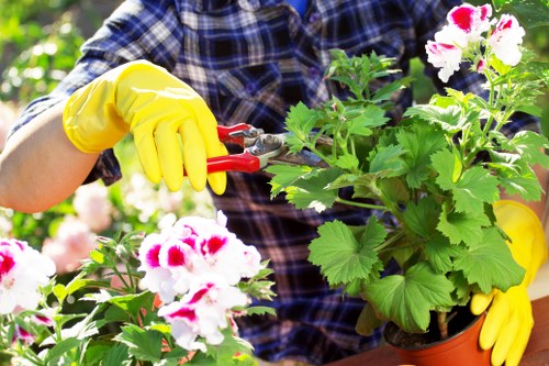 Illustration representing anti-slavery commitment for Gardeners De Beauvoir Town