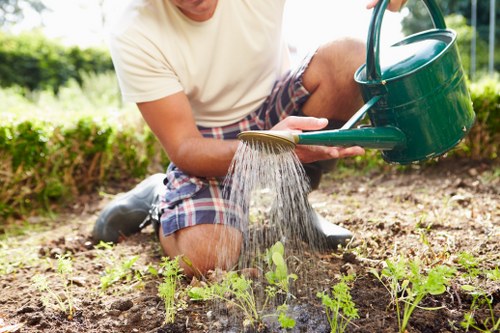 Sustainable garden recycling and waste separation in De Beauvoir Town