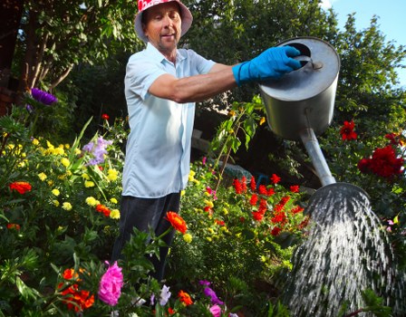 Well-kept garden maintenance in De Beauvoir Town with tidy borders and healthy planting
