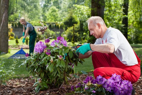 De Beauvoir Town gardeners improving a private courtyard