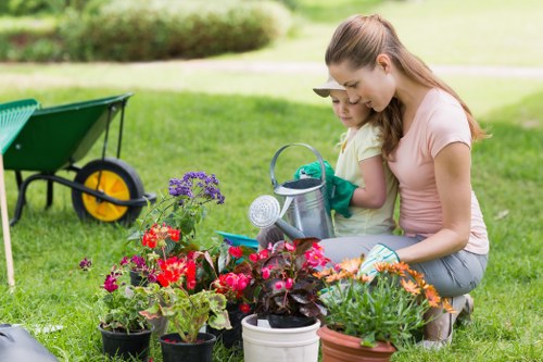 Healthy green lawn care in De Beauvoir Town garden