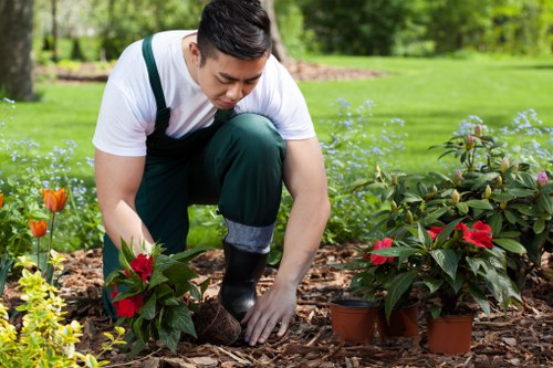 Low-carbon van used for sustainable garden services