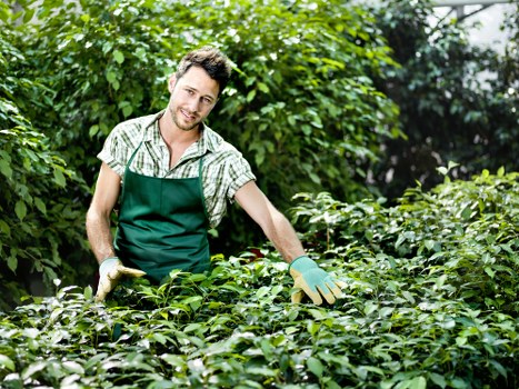 SSL encrypted Gardeners De Beauvoir Town payment process with protected transaction details