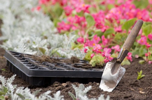 Thoughtful planting and paving for a De Beauvoir Town garden