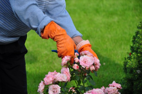 Professional hedge trimming beside a townhouse boundary