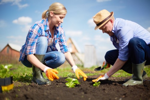 Free quote process for garden waste removal in De Beauvoir Town