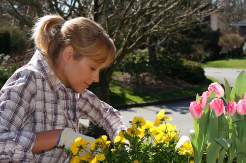 Seasonal planting and maintenance in De Beauvoir Town