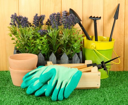 Seasonal lawn treatment and aeration in De Beauvoir Town