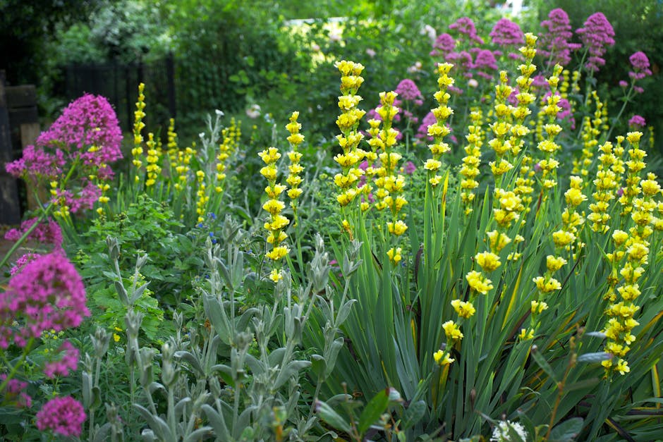 London Fields border plant care by De Beauvoir Town gardeners